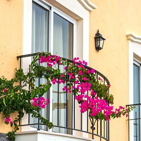 Designed Palheiro Village By Hr Madeira Villa *