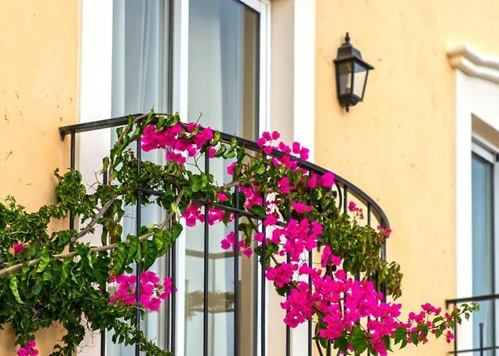 Designed Palheiro Village By Madeira Villa *